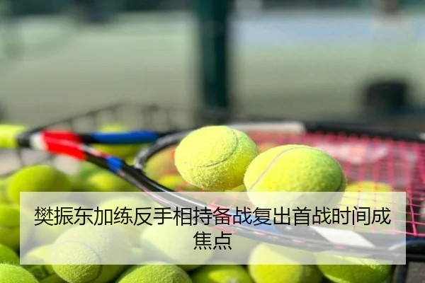 樊振东加练反手相持备战复出首战时间成焦点