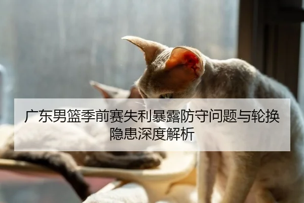 广东男篮季前赛失利暴露防守问题与轮换隐患深度解析